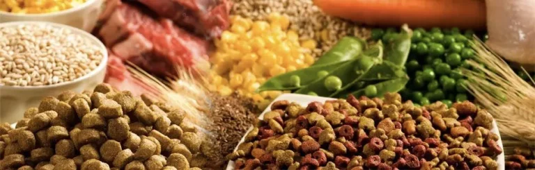 Food Additives Manufacturing